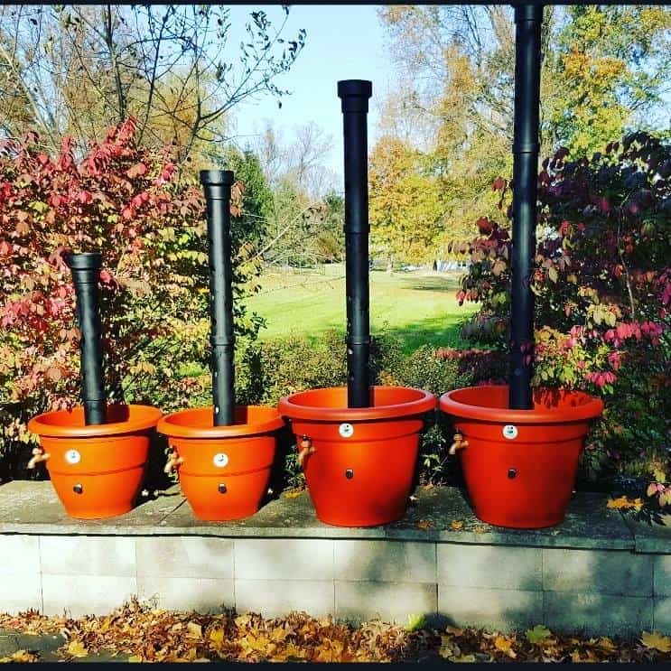 the best self-watering planters